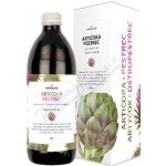 Nefde Santé Artyčok + ostropestřec 500 ml – Hledejceny.cz