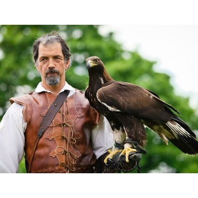 Severní Čechy: Zážitkové sokolnictví – Zboží Mobilmania