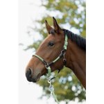 HVP Kožená ohlávka Iconic – Zbozi.Blesk.cz