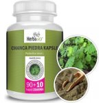 Herbavis Chanca piedra kapsle 100 kapslí – Hledejceny.cz