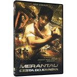 Cesta bojovníka - Merantau DVD – Hledejceny.cz