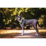 Vsepropejska Walk postroj pro psa s vodítkem – Zboží Dáma