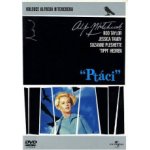 Ptáci BD – Zboží Mobilmania