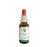 Salvia Paradise Šatavari Shatavari AF tinktura BIO 30 ml – Hledejceny.cz