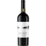 La Vicomté Millénaire rouge "Côteaux du Salagou" 2022 13,5% 0,75 l (holá láhev) – Hledejceny.cz