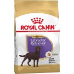 Royal Canin Sterilised Labrador Retriever Adult 2 x 12 kg – Sleviste.cz