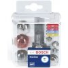 Žhavící svíčka BOSCH Sortiment, żhavící svíčky 1 987 301 113