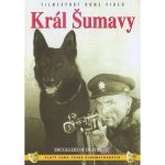 Král Šumavy DVD – Hledejceny.cz