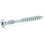 Vrut RAPI-TEC UniPlus, bílý zinek 5,0 x 50 torx bit T20, balení 250 ks – Zboží Mobilmania