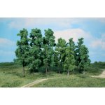 Heki Kittler 30 stromů 12 - 18 cm 1362 – Zboží Dáma