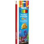 Ocean World RM_47003265 6 ks – Sleviste.cz