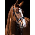 HKM Uzdečka Flora černá – Zboží Dáma