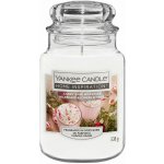 Yankee Candle Candy Cane Forest 538 g – Zboží Dáma