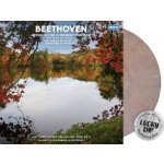 Ludwig van Beethoven - Beethoven - Symphony No. 5 • Egmont Overture CLR LP – Hledejceny.cz