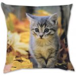 Dadka Fotopolštář Kotě s listím 40x40 – Zboží Dáma