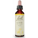 Bachovy květové esence Plané jablko Gorse 20 ml – Hledejceny.cz