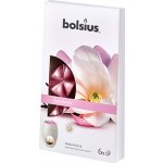 Bolsius Aromatic 2.0 True Sents Vosk Magnolia 6 ks – Hledejceny.cz