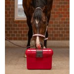 Waldhausen Box na čištění ECO cherry red – Zboží Mobilmania