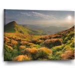 Sablio Obraz Travnatá krajina - 60x40 cm – Hledejceny.cz