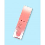 Dasique Šťavnatý tint na rty Juicy Dewy Tint No,02 Melon Sherbet 3,5 g – Zboží Dáma
