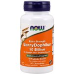 Now BerryDophilus Extra Strength probiotika pro děti 50 žvýkacích pastilek – Hledejceny.cz