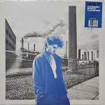 Joe P - Garden State Vampire Vinyl LP – Hledejceny.cz