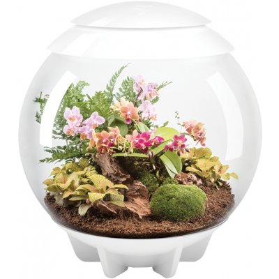 Biorb Air terárium bílé 60 l – Sleviste.cz