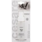 Mr&Mrs Fragrance Cesare Spray Fresh Air – Hledejceny.cz