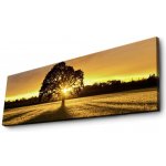 ASIR Obraz na plátně s led osvětlením ZÁPAD SLUNCE 30 cm – Zboží Dáma