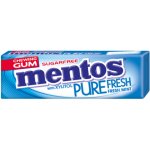 Mentos Gum Fresh Mint 14 g – Zboží Dáma