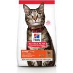 Hill’s Feline Adult Lamb & Rice 1,5 kg – Hledejceny.cz