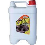 Carlan Čistič motorů 5 l | Zboží Auto