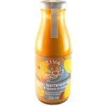ŽIVA rakytník Rakytníková šťáva 100％ 250 ml – Zboží Dáma