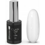 Excellent Pro Quick Gel v lahvičce 02 11g – Zboží Mobilmania