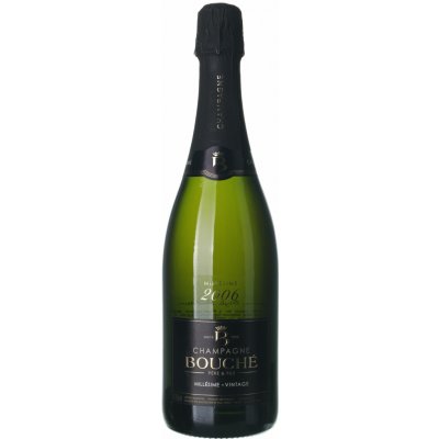 Bouché Champagne Brut suché bílé 2006 12% 0,75 l (holá láhev) – Sleviste.cz