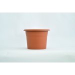 obal d25cm Narcis TER – Hledejceny.cz
