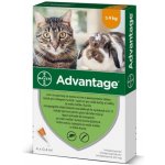 Nuova Fattoria Stone Cat 5 kg – Sleviste.cz