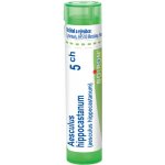 AESCULUS HIPPOCASTANUM POR 5CH GRA 1X4G – Hledejceny.cz