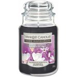 Yankee Candle Fizzy Fruit Punch 538 g – Sleviste.cz