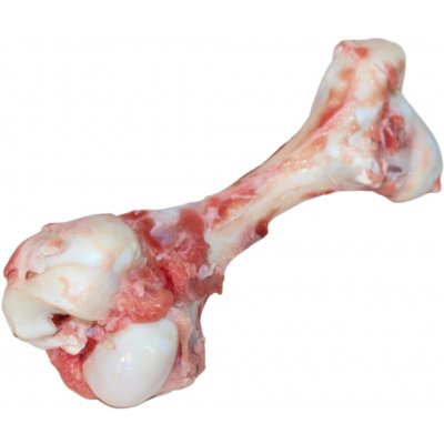 Masožravci Hovězí morková kost 1 ks – Sleviste.cz