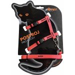 Bafpet Set CAT kšír + vodítko 120 cm 19 - 26 cm 24 - 37 cm – Zboží Dáma