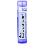RHUS TOXICODENDRON POR 30CH GRA 4G – Hledejceny.cz