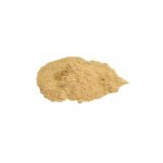 Salvia Paradise Amalaki prášek BIO 100 g – Hledejceny.cz