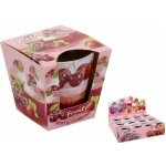 Bartek Candles Fruit Muffins Cherry and Strawberry 115 g – Sleviste.cz
