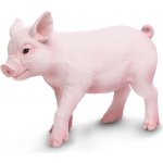 Safari Ltd. Sele – Hledejceny.cz