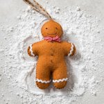 Corinne Lapierre Kreativní sada na plstění Perníkový mužíček – Hledejceny.cz