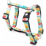 Max & Molly H Postroj Donuts – Sleviste.cz