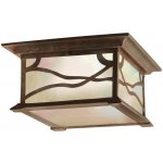 AMiO OBD2 04729 – Hledejceny.cz