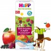 Dětský čaj HiPP BIO Nápoj Jemné jablko a ovoce s neperlivou pramenitou vodou 200 ml