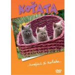 Koťata DVD – Sleviste.cz